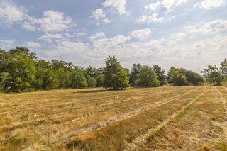  Terrain à vendre 3596 m²