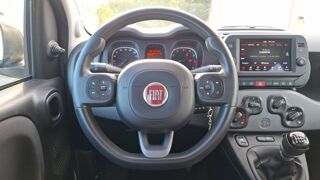 Panda 1.0 GSE Mild Hybrid 69 City 2021 occasion 31330 Grenade