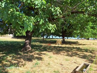  Remise / Grange à vendre 2 pièces 250 m²