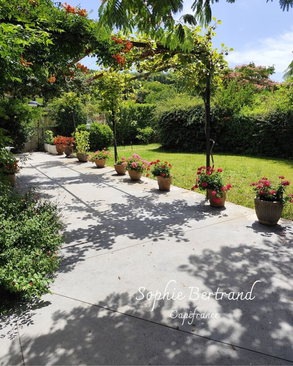 à vendre  Maison Châteauneuf-du-Rhône (26780)