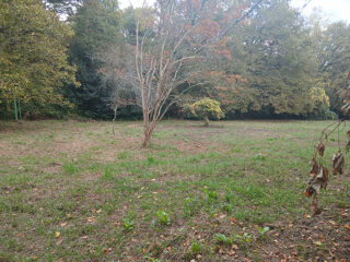  Terrain à vendre 3006 m²