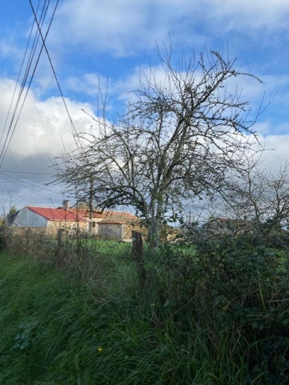 Vente Terrain Terrain constructible, à vendre, de 1 102,00 m² DIGNAC (16) Dignac