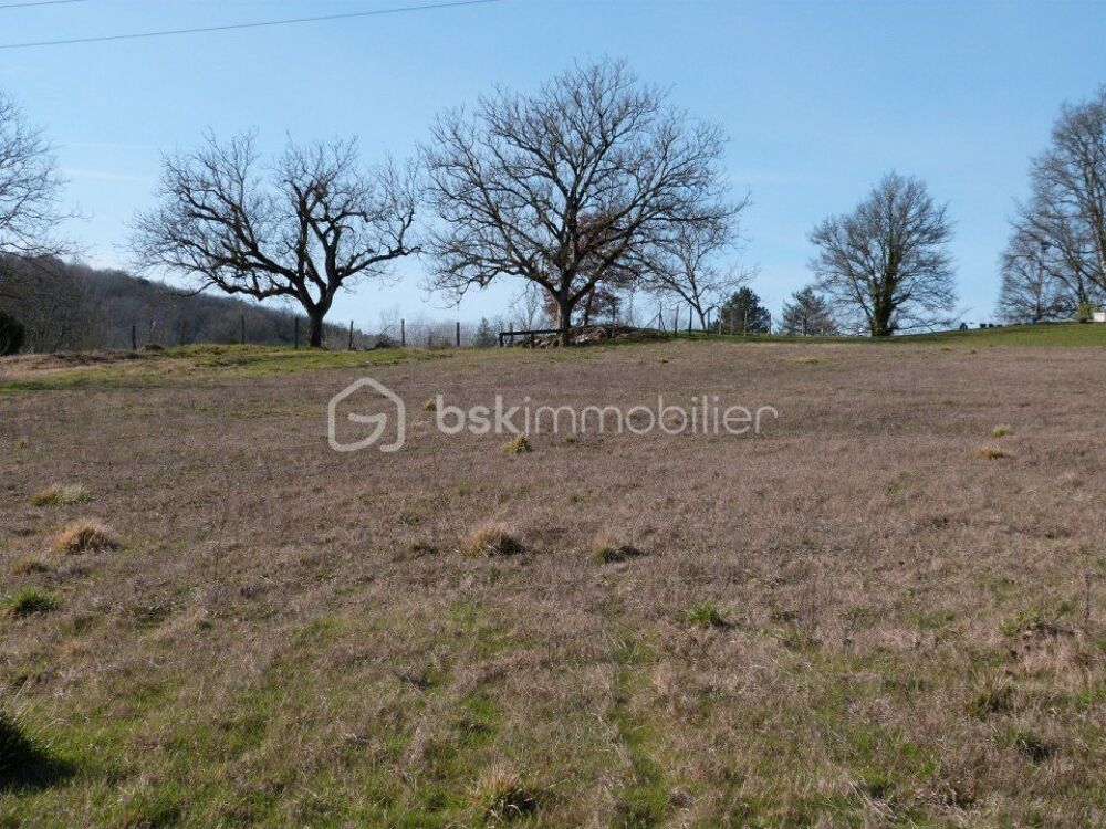 Vente Terrain Grand terrain constructible Paussac et saint vivien