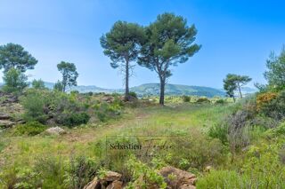  Terrain � vendre 7720 m�