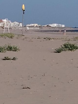  Appartement � vendre 2 pi�ces 34 m�