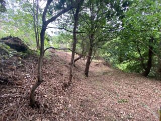  Terrain � vendre 3218 m�