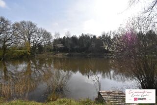  Terrain � vendre 11556 m�