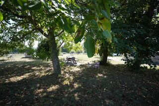 Vente Maison Maison rénovée de 200m² avec piscine entre Bordeaux et Toulouse (47) Calonges