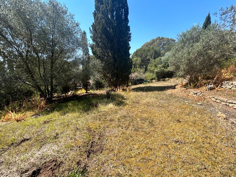  vendre  Maison Les Issambres (83380)