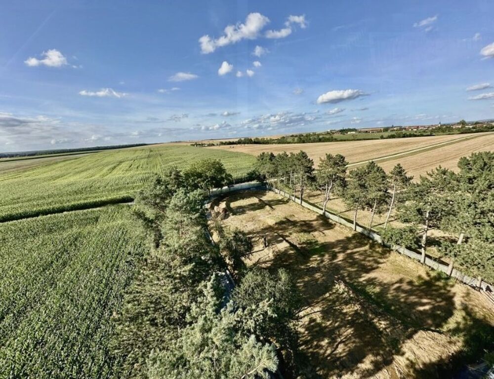 Vente Propriété/Château Propriété Boncourt