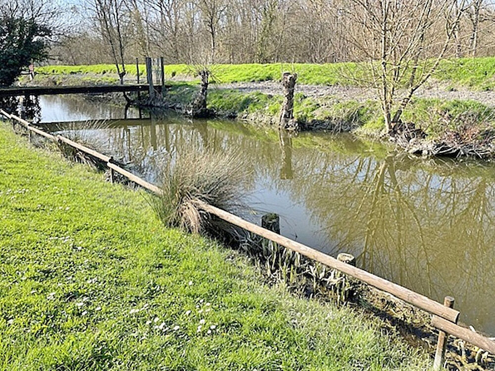 Charentaise d'exception - Authenticité, volumes et cadre naturel préservé