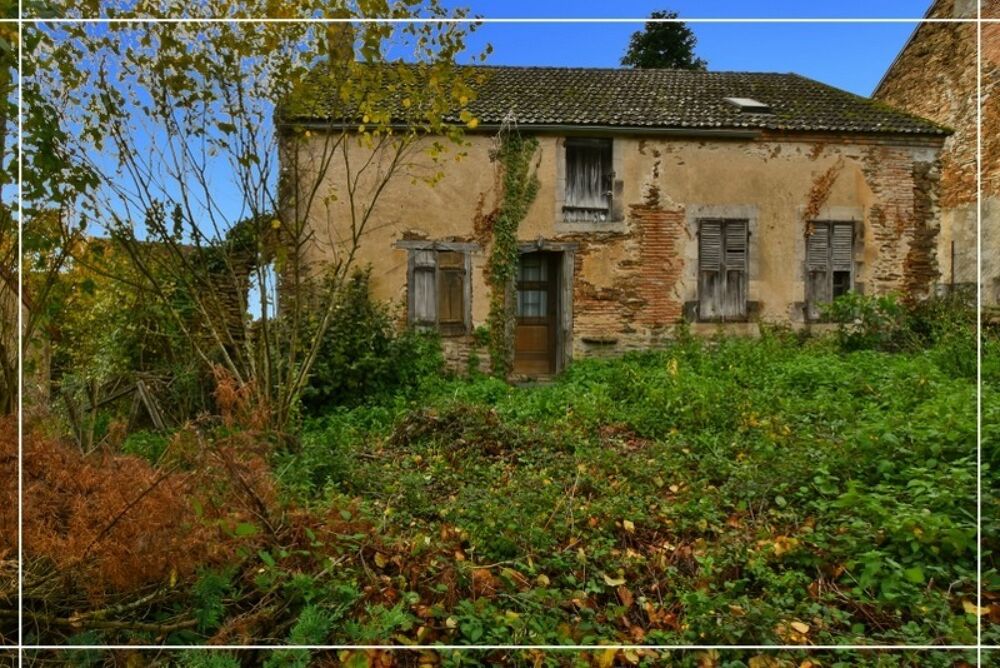 Vente Remise/Grange Authentique maison en pierres 180 m² - Investisseurs ou amoureux de rénovation - LIGNEROLLES (36) Lignerolles