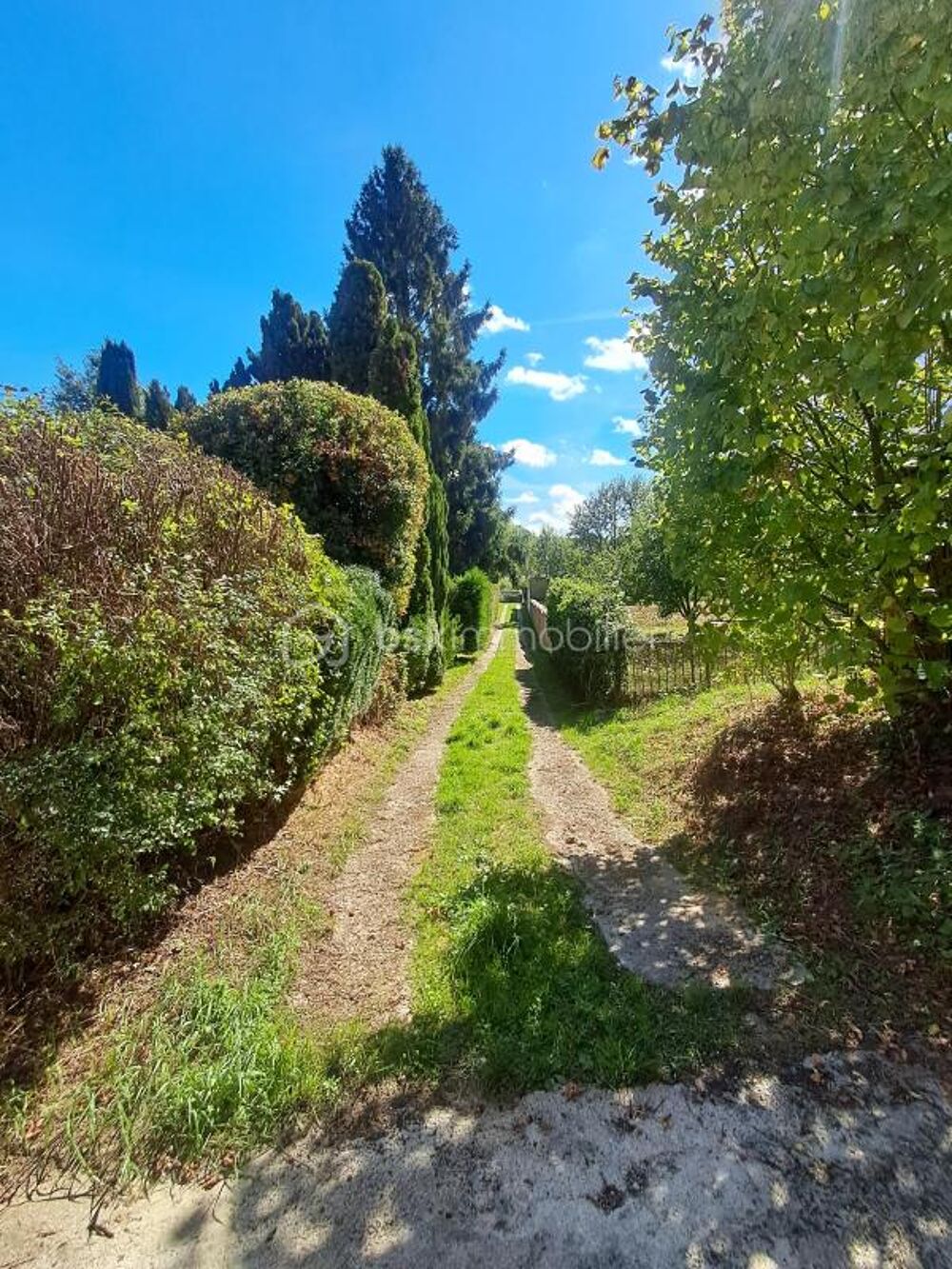 Vente Maison PLAIN-PIED D'ENVIRON 133M2 3 CHAMBRES TERRAIN DE PLUS DE 2200M2 Vic sur aisne