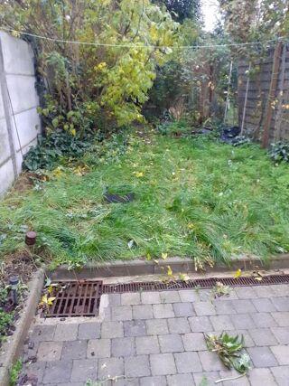  Maison � louer 4 pi�ces 118 m�