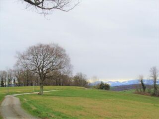  Terrain à vendre 50000 m²