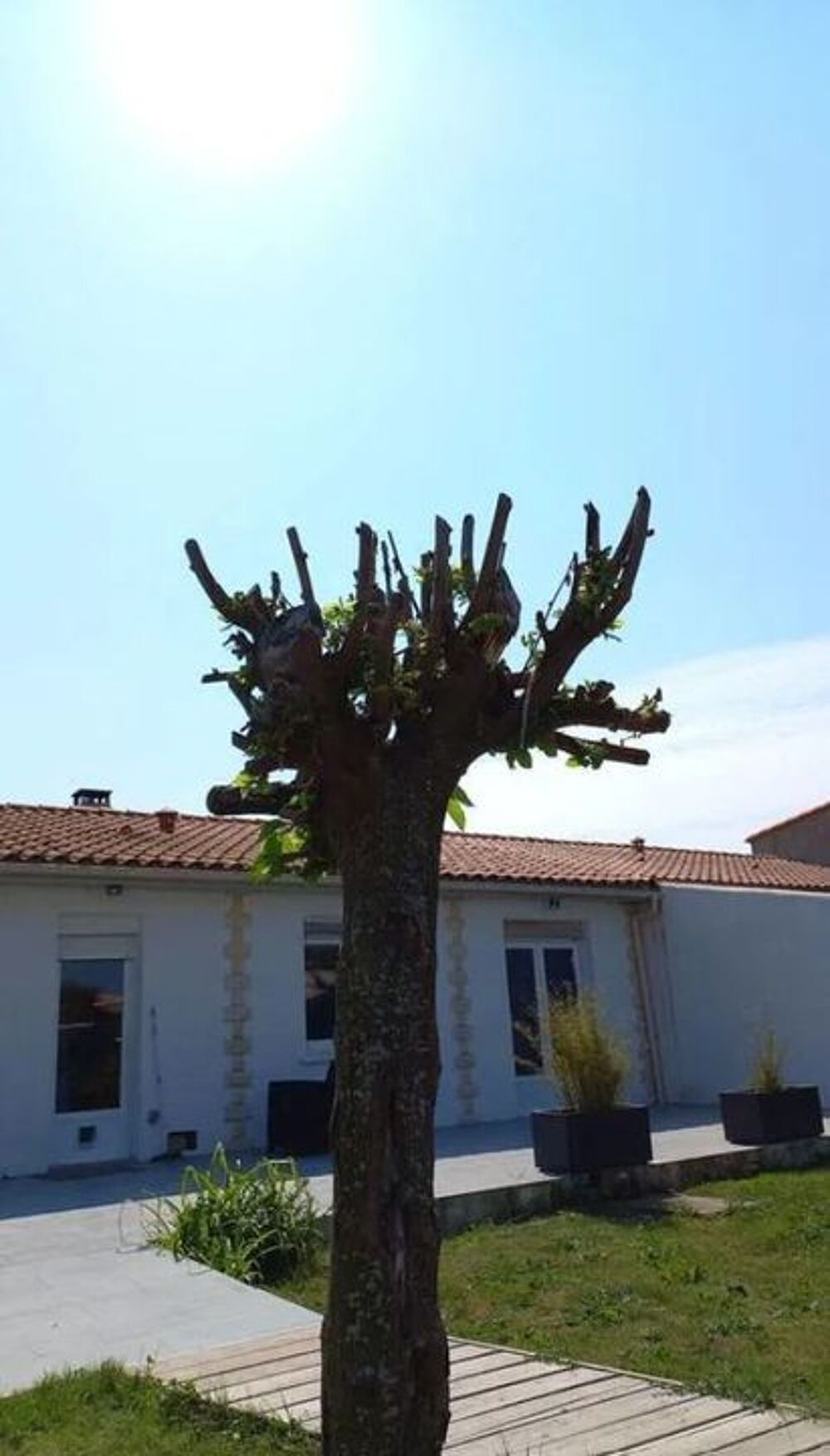 Location Appartement Chambre de 11m2 à louer sur Saint-Ouen-d'Aunis Saint ouen d aunis