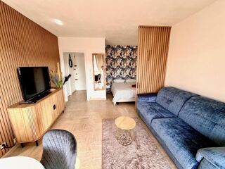  Appartement à louer 1 pièce 30 m²