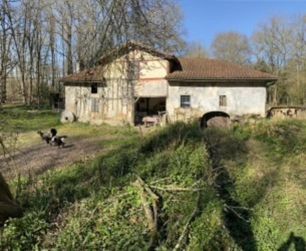 Vente Moulin Moulin 7 pièces avec chênaie d'environ 6 hectares Arsague
