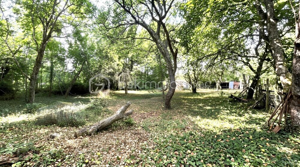 Vente Terrain Terrain constructible de 651 m² – Clohars-Carnoët (Hors lotissement) Clohars carnoet