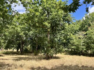  Terrain � vendre 1022 m�