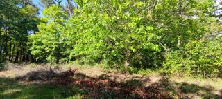  Terrain  vendre 2975 m