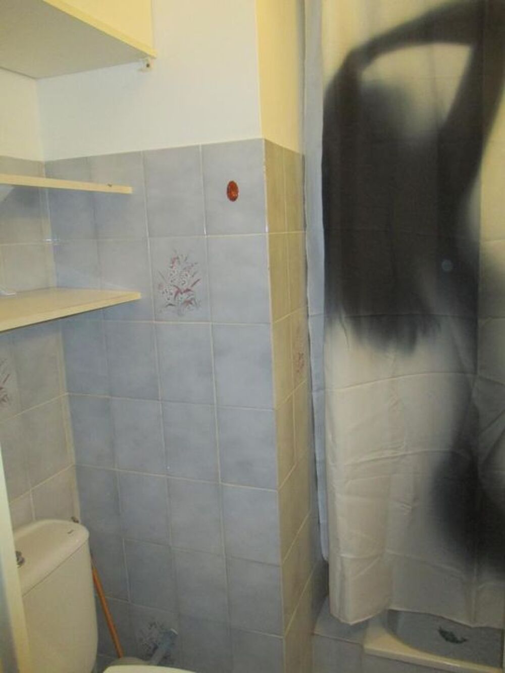 Location Appartement Studio de 18m2 à louer sur Cannes Cannes