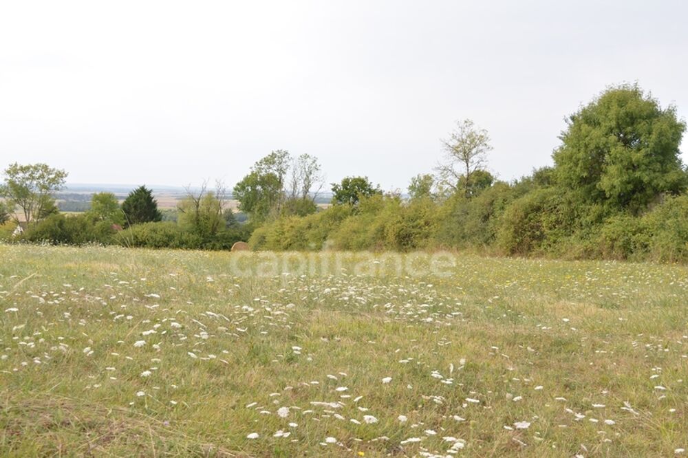 Vente Terrain Terrain à construire à vendre  ALLIGNY COSNE (58200) Alligny cosne