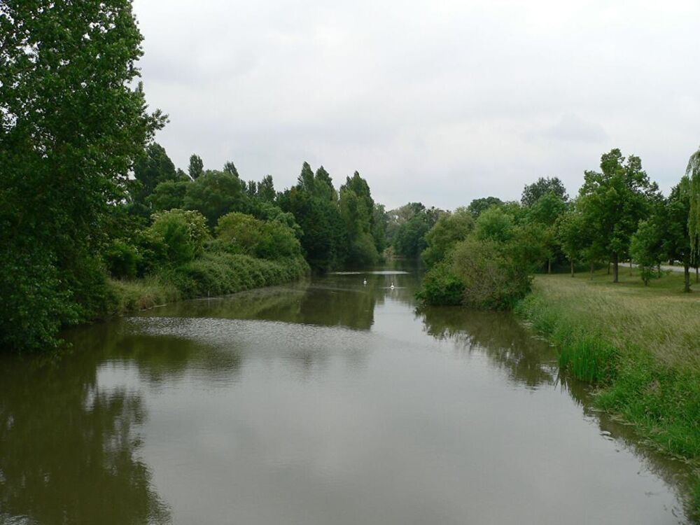 Vente Maison Propriété fort potentiel Saint Martin de la Place Gennes val de loire