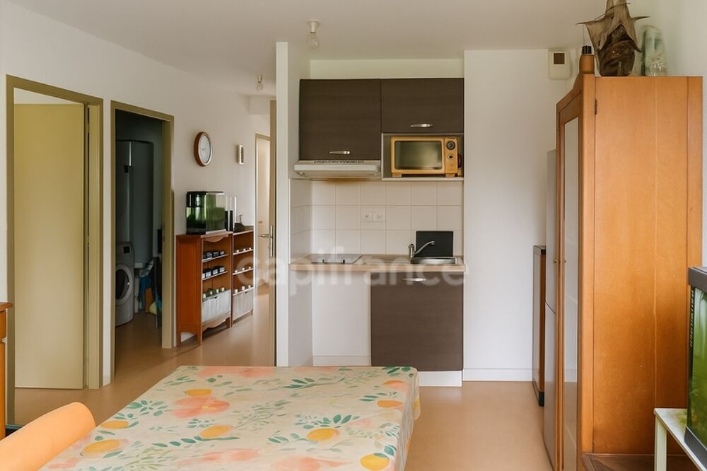 Vente Maison Maison T4 r�sidence services s�niors � HERRY (18140) Herry