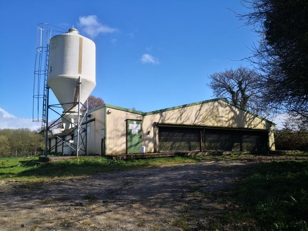 Vente Terrain Terrain agricole de 13 000 m² avec bâtiment agricole récent – Idéal projet équestre ou petite agriculture Plouray