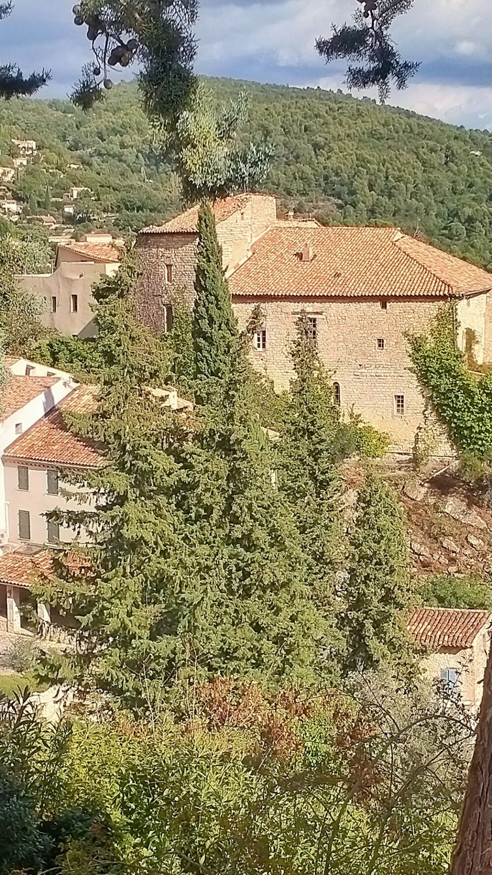 Vente Propriété/Château Domaine d'exception artistique  à vendre 10 pièces  625 m2 terrain 1HA200 SEILLANS (83) Seillans