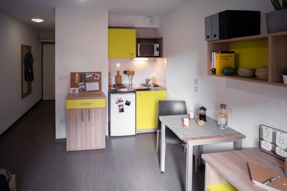 A LOUER - STUDIO MEUBLE PLEIN COEUR DU CAMPUS DE BELLE-BEILLE ANGERS