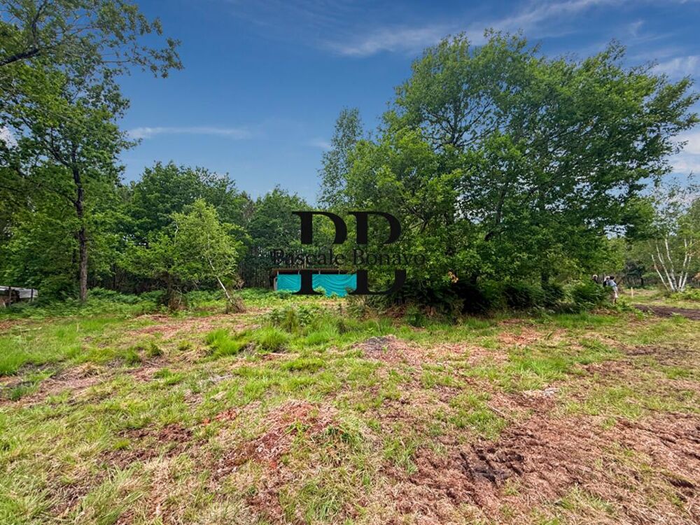 Vente Terrain VENDAYS MONTALIVET - Terrain 2327m2 avec Hangar agricole Vendays montalivet