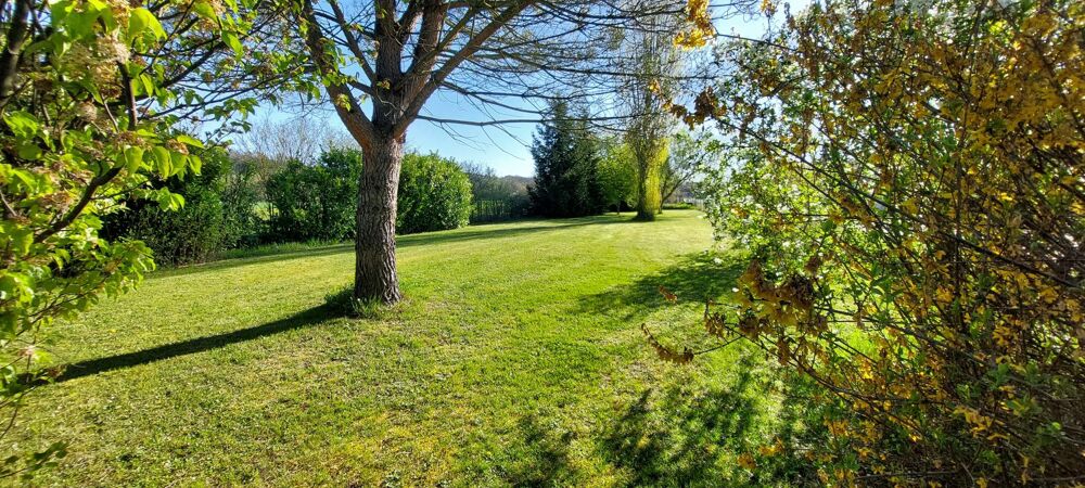 Vente Terrain Terrain Cour et buis