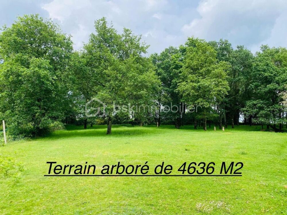 Vente Maison Maison de Village de 187 M� (Loyat 56800) Loyat