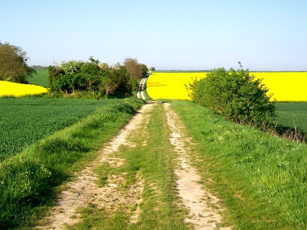 Vente Terrain Terrain à vendre de 363,00 m² RULLY (60) Rully