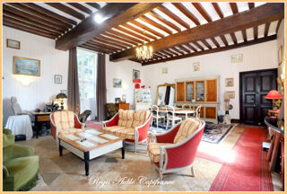  Propri�t�/ch�teau � vendre 15 + pi�ces 1500 m�