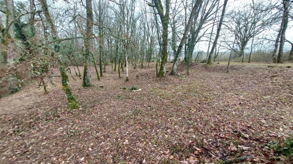 Vente Terrain Terrain à vendre de 1 255,00 m² BALADOU (46) Baladou