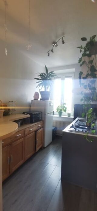  Appartement � louer 3 pi�ces 55 m�