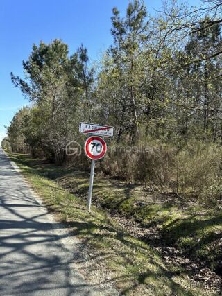  Terrain  vendre 31450 m