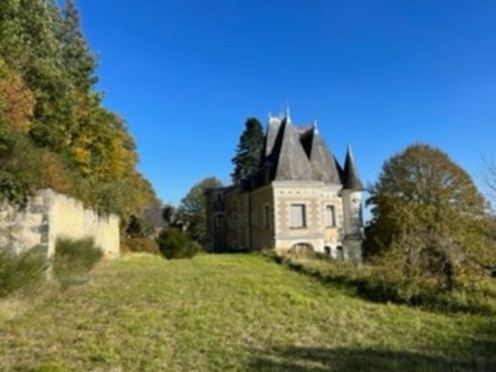 Vente Propriété/Château Sublime château édifié au XVI°et remanié au XIX° surblomblant la vallée de la Loire entre Amboise et Tours Amboise