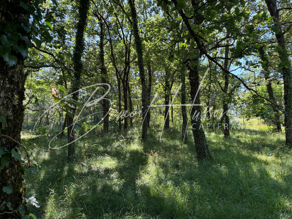 Vente Terrain Terrain constructible de 1768m² - Hors lotissement Grazac