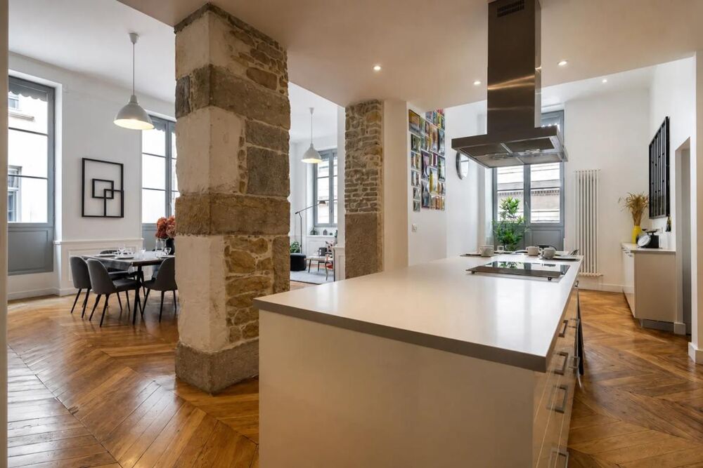 à vendre  Duplex/triplex Lyon 1