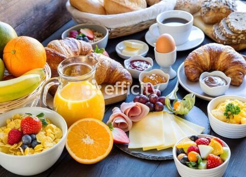 Commerces/Negoce 599800 73000 Chambery