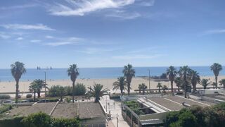  Appartement à louer 1 pièce 25 m² Canet en roussillon