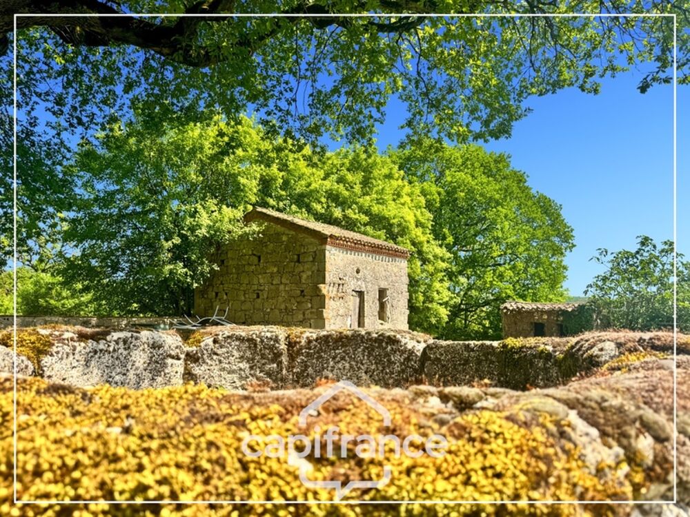 Vente Propriété/Château Propriété  15 pièces SAINT ROBERT (47) Saint robert