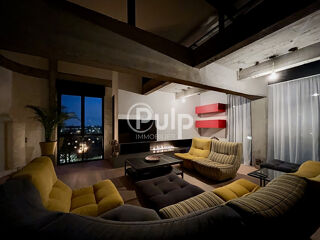  Loft � vendre 6 pi�ces 289 m�