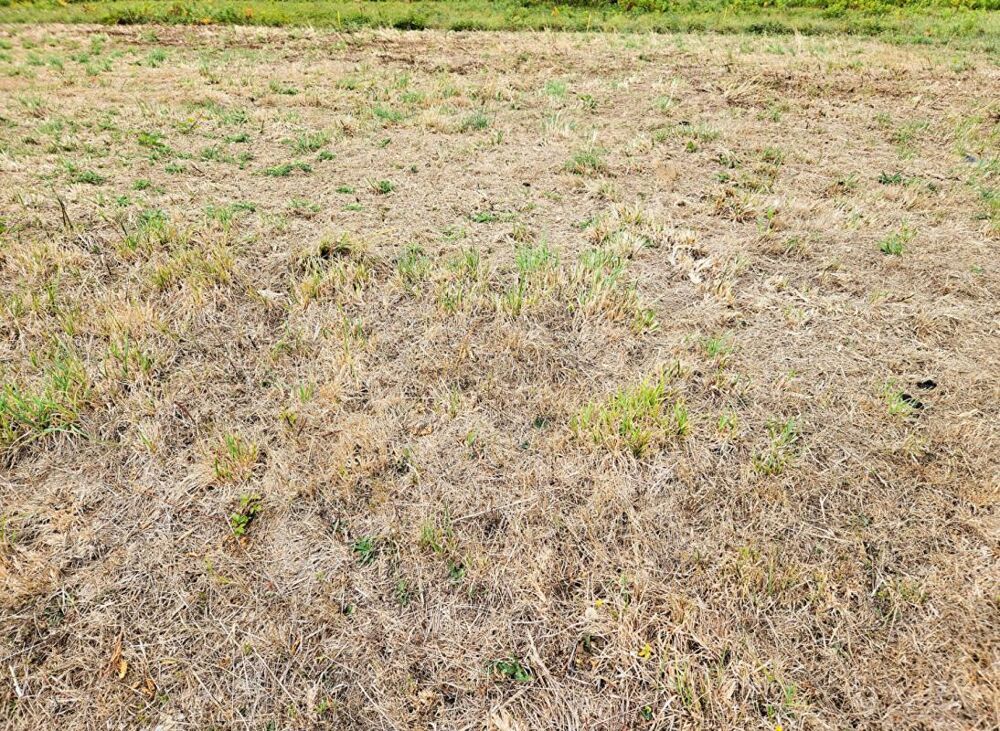 Vente Terrain Lanvenegen  - Terrain à bâtir de 386 m2 viabilisé - Libre de constructeur - Prix  :  17.875 Lanvenegen