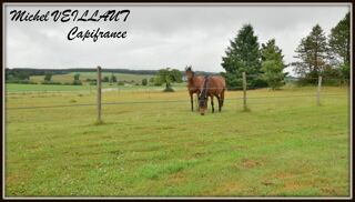  Propri�t�/ch�teau � vendre 7 pi�ces 160 m�