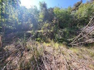  Terrain � vendre 16415 m�